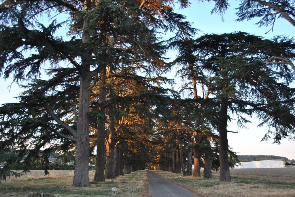 Logis Hotels - Chateau Saint Marcel Боэ Экстерьер фото
